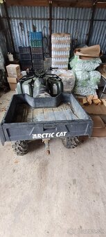 ARCTIC CAT 650 H1 2006 - 3