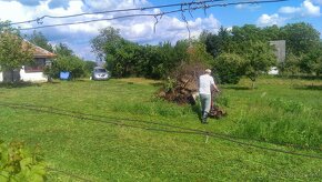 Predaj veľkej vinice 3661 m2,Kalinčiakovo nad kúpaliskom - 3