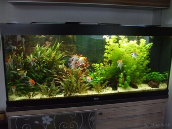 Predam akvarium kompletne s prislušenstvom bez ryb - 3