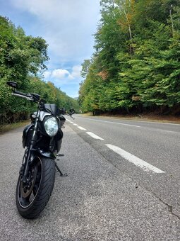 Suzuki SFV650 Gladius - 3