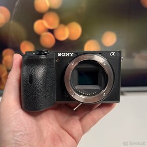 Sony a6600 - 3