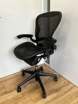 Herman Miller Aeron Full Option with lumbarsupport - 3