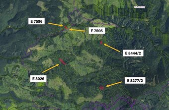 Poniky – 12.701 m2 ORNÁ PÔDA a LESY – Na Predaj - 3