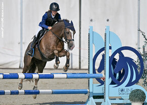 TOP pony klisna do sportu kat. A - 135cm - DOHODA O CENĚ Mož - 3