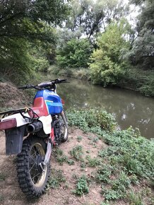 Yamaha Xt 600 Tenere - 3