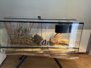 Agama+terarium s príslušenstvom - 3