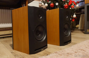 Bowers & Wilkins (B&W) - DM302 - 3