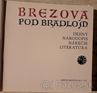 Miestopis Brezová pod Bradlom - 3