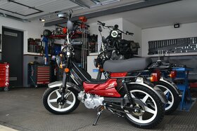 MP Korado moped supermaxi 50 - 3