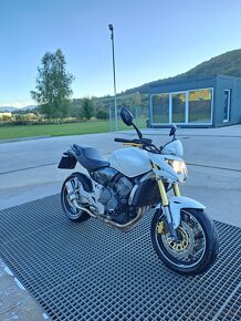 Honda Hornet CB600f 2009 25kw v TP A2 - 3