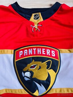 Florida Panthers - 3