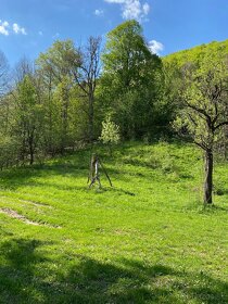 TOP - Rekreačný pozemok s drevenicou. - 3