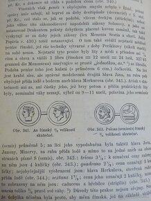 Život Řeku i Řimanu, vydaná v roku 1876 - 3