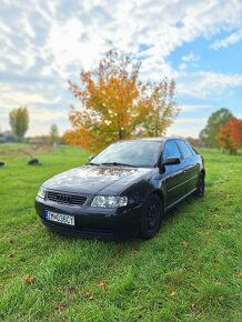 Audi A3 8L 1.9tdi - 3