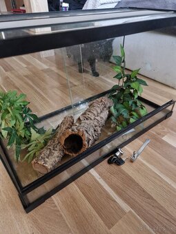 Terarium 60x30x35cm - 3