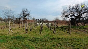 HALO reality - Predaj, rekreačný pozemok Žemberovce, , s vin - 3