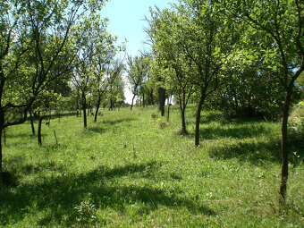 STAVEBNÝ POZEMOK PRI POTOKU 1963 m2 BRESTOVEC okres MYJAVA - 3