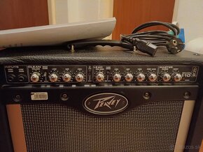 Peavey envoy 110 - 3