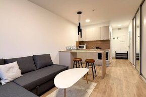 |1i ZARIADENÝ apartmán NUPPU Magnólia ,BA II., 28,22 m2 - 3