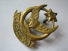 stary vojensky odznak Pakistan, Pandzabsky regiment. - 3