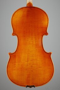 Viola - 3