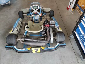 Motokára Tony Kart F.Alonso 125 Senior MAX EVO Rotax - 3