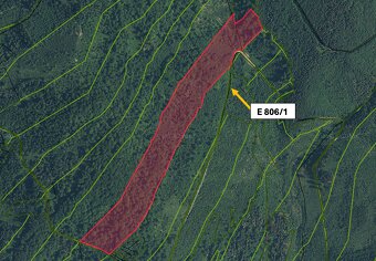 Horelica – 3.137 m2 LES – PREDAJ - 3