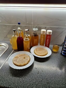 Scoby huba - kombucha - 3