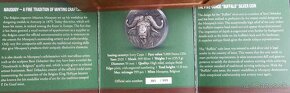 The African Big Five - Buffalo od Mauquoy - 3