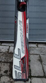 Blizzard SpeedCarve 165cm - 3