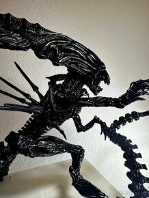 Xenomorph - 3