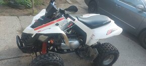 Can-am ds 250 - 3