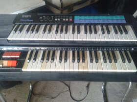 Organ glaciola+ Casio - 3