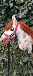 Hobby horse - 3