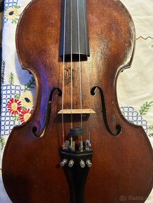 Viola - 3