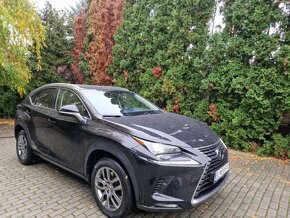 Lexus NX300h Elegance - 3