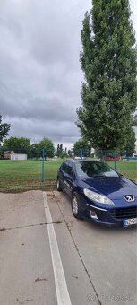 Peugeot 407 SW - 3