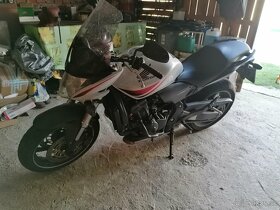 Honda Hornet cb 600f - 3