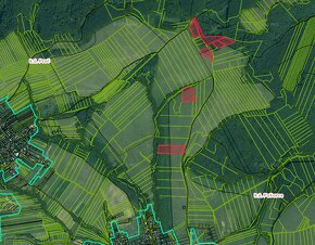 Pušovce – 16.000 m2 ORNÁ PÔDA a LES pri Prešove - Na predaj - 3