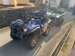 Yamaha grizzly 700FI - 3