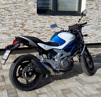 Suzuki Gladius 650 - 3