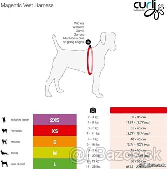 Curli XXS 2-4kg postroj pre psíka - 3