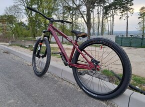 CTM Dirtking Custom - 3