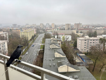 3 izbový byt Národná trieda, Košice - Sever, balkón, loggia - 3