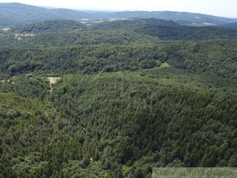 Na predaj les - lesný pozemok 6,75 ha - Osadné - 3