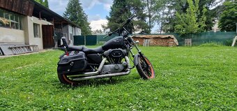 Harley Davidson  sportster XL 1200 - 3