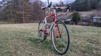 Trek Alpha 2.5 Ultegra - 3