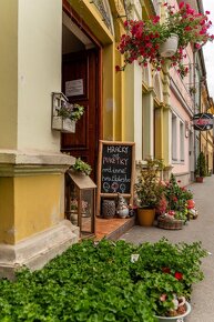 Na odstúpenie -  Kvetinárstvo a hračkárstvo Puketka v Prešov - 3