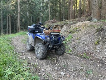 Yamaha grizzly 700 - 3