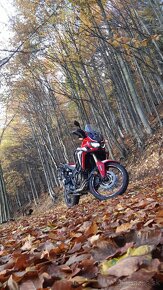 Honda Africa Twin 1000 - 3